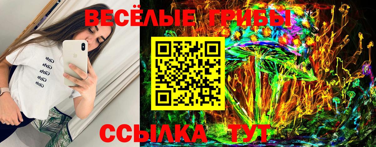 Псилоцибиновые грибы Psilocybine cubensis Сокол