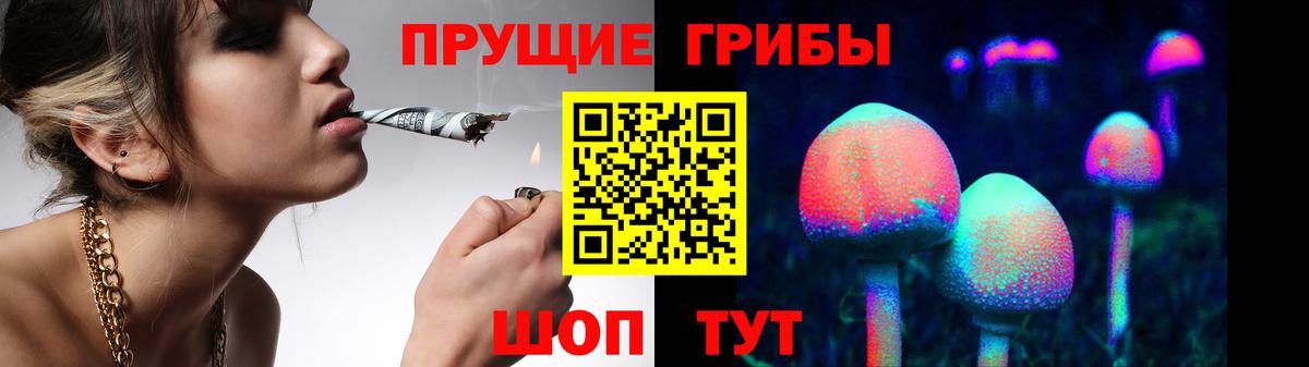 Псилоцибиновые грибы Magic Shrooms  закладка  Сокол  Вход с VPN 
